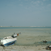 m29-bahrain-06-018