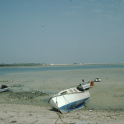 m29-bahrain-06-019