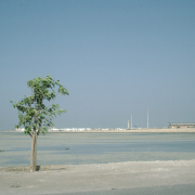 m29-bahrain-06-028