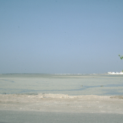 m29-bahrain-06-029