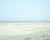 m29-bahrain-22-005 m29-bahrain-22-005