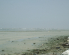 m29-bahrain-24-002 m29-bahrain-24-002