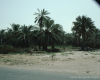 m29-bahrain-25-025 m29-bahrain-25-025