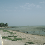 m29-bahrain-23-021