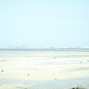 m29-bahrain-24-001