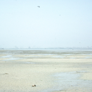 m29-bahrain-24-005