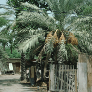 m29-bahrain-25-002