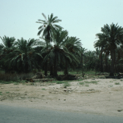 m29-bahrain-25-025