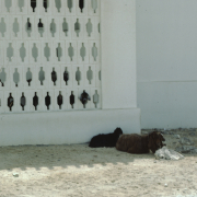 m29-bahrain-26-002
