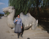 m41-china-01-008