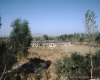 m41-china-20-012