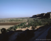m41-china-20-030