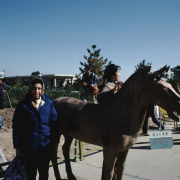 m41-china-01-004 m41-china-01-004