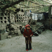 m41-china-13-003 m41-china-13-003