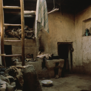 m41-china-13-004 m41-china-13-004