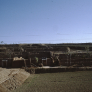 m41-china-19-006 m41-china-19-006