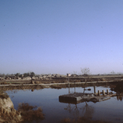 m41-china-19-009 m41-china-19-009