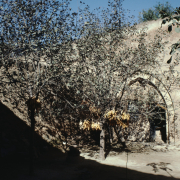 m41-china-19-023 m41-china-19-023