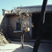 m41-china-19-039 m41-china-19-039