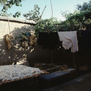 m41-china-20-019 m41-china-20-019