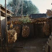 m41-china-20-020 m41-china-20-020