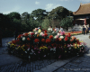 m41-china-03-002