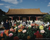 m41-china-03-003