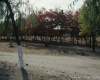 m41-china-03-009