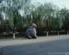 m41-china-03-012