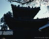 m41-china-07-004