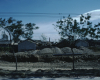m41-china-08-008