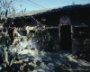 m41-china-12-012
