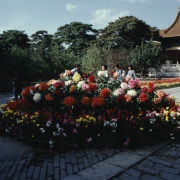 m41-china-03-002 m41-china-03-002