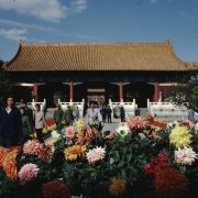 m41-china-03-003 m41-china-03-003