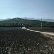 m41-china-03-008 m41-china-03-008