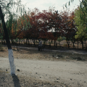 m41-china-03-009 m41-china-03-009