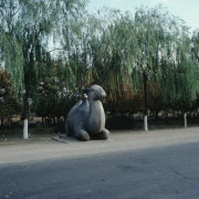 m41-china-03-012 m41-china-03-012