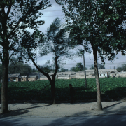 m41-china-03-018 m41-china-03-018