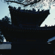 m41-china-07-004 m41-china-07-004