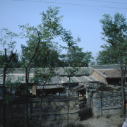 m41-china-12-021 m41-china-12-021