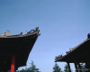 m41-china-10-006