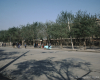 m41-china-11-019
