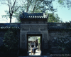 m41-china-16-012
