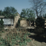 m41-china-11-007 m41-china-11-007