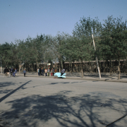 m41-china-11-019 m41-china-11-019