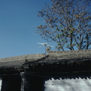 m41-china-15-011 m41-china-15-011