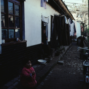 m41-china-15-019 m41-china-15-019