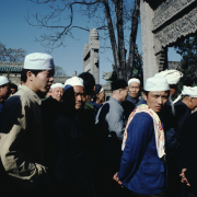 m41-china-15-043 m41-china-15-043