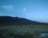 m41-china-18-011