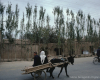 m41-china-22-004